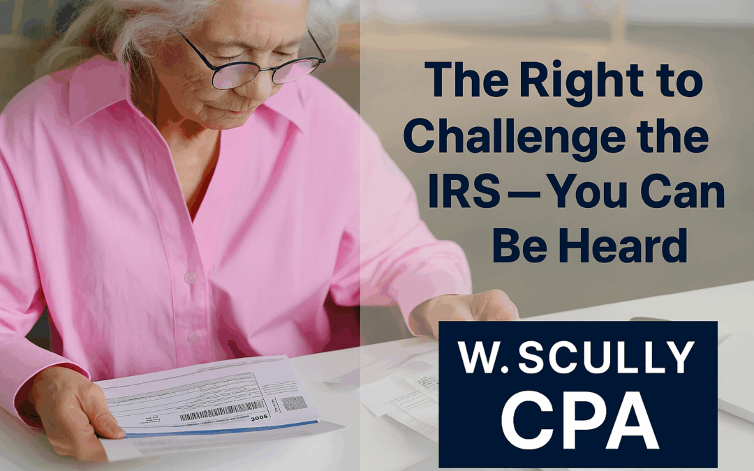 The Right to Challenge the IRS — You Can Be Heard